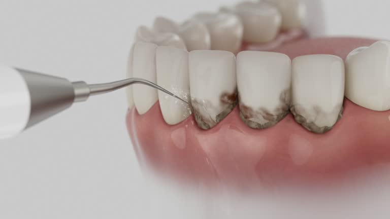 Reliable Dental contractor in North Randall, OH by Dentist Open Now